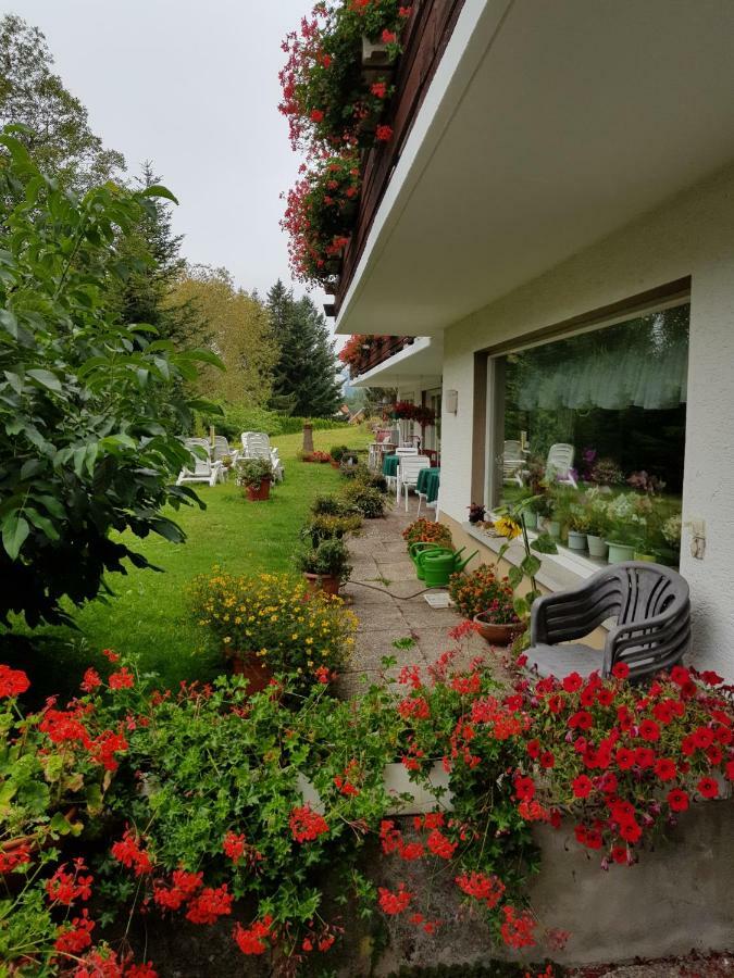 Pension Gebele Шлухзе Екстер'єр фото